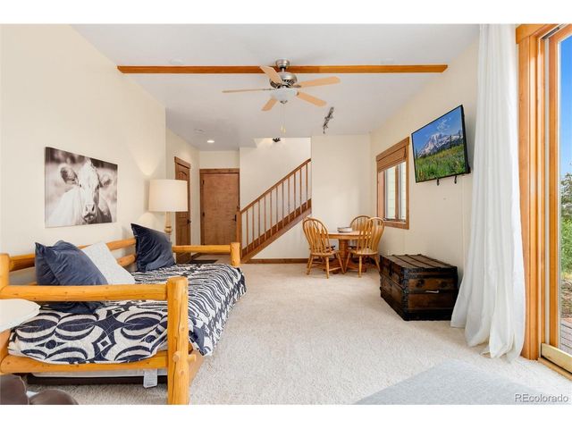 592 Ponderosa Rd, Alma, CO 80440