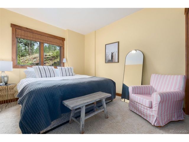 592 Ponderosa Rd, Alma, CO 80440