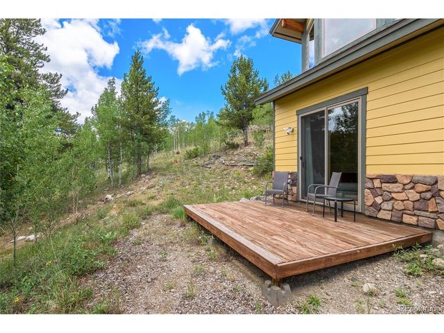 592 Ponderosa Rd, Alma, CO 80440
