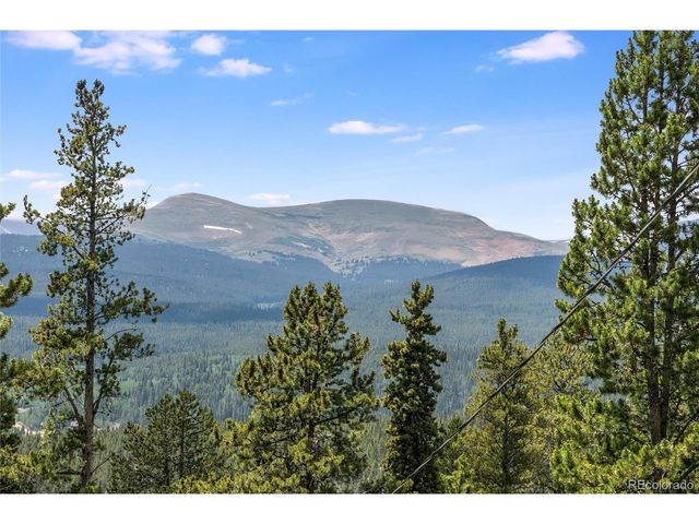 592 Ponderosa Rd, Alma, CO 80440