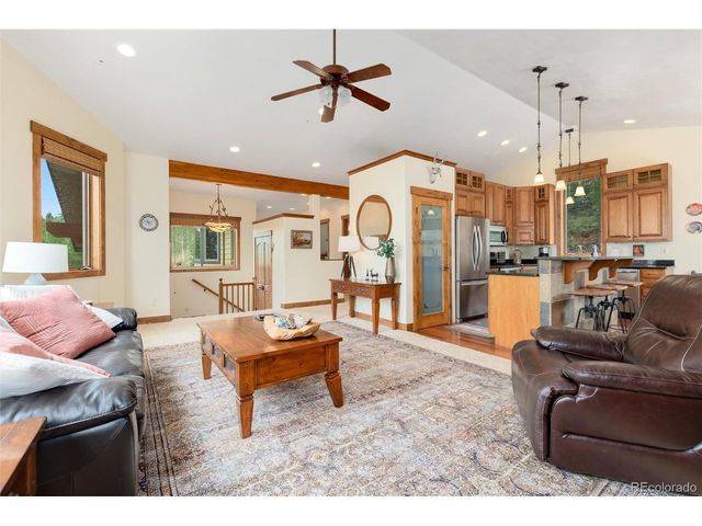 592 Ponderosa Rd, Alma, CO 80440