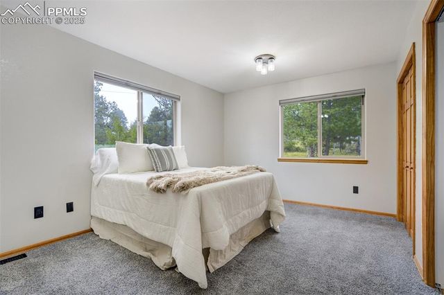 163 Big Horn Lane, Florissant, CO 80816