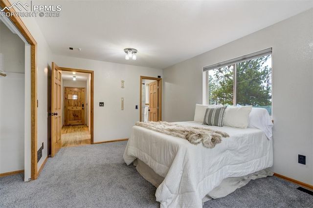 163 Big Horn Lane, Florissant, CO 80816