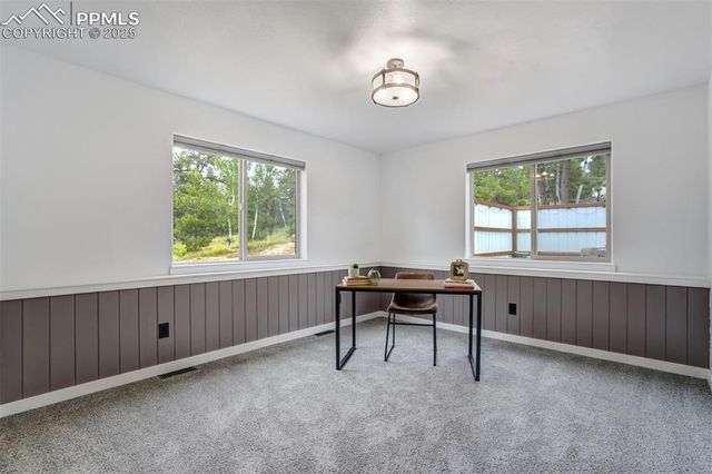 163 Big Horn Lane, Florissant, CO 80816