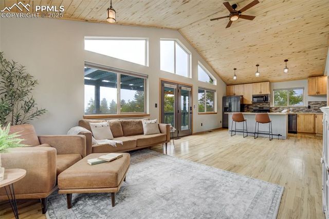 163 Big Horn Lane, Florissant, CO 80816