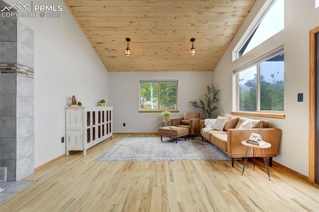 163 Big Horn Lane, Florissant, CO 80816