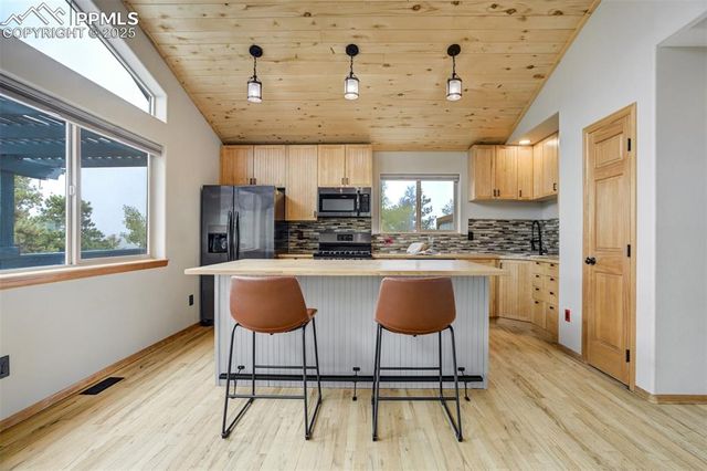 163 Big Horn Lane, Florissant, CO 80816