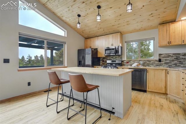 163 Big Horn Lane, Florissant, CO 80816