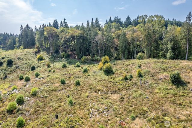 0 Newaukum Valley Road, Chehalis, WA 98532