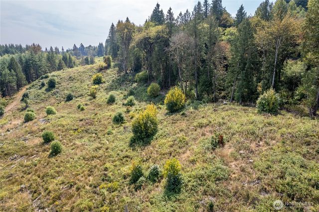 0 Newaukum Valley Road, Chehalis, WA 98532