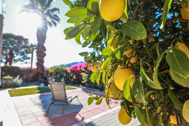 310 Via Don Benito, Cathedral City, CA 92234