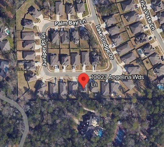 10023 Angelina Woods Lane, Conroe, TX 77384