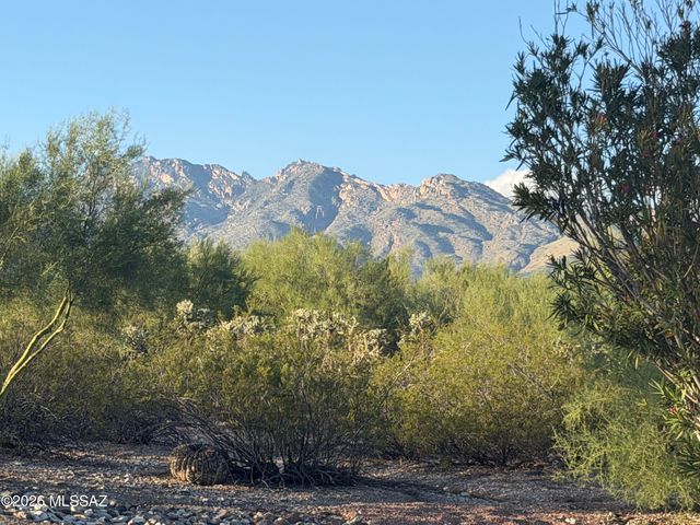 3800 N Tanuri Drive, Tucson, AZ 85750