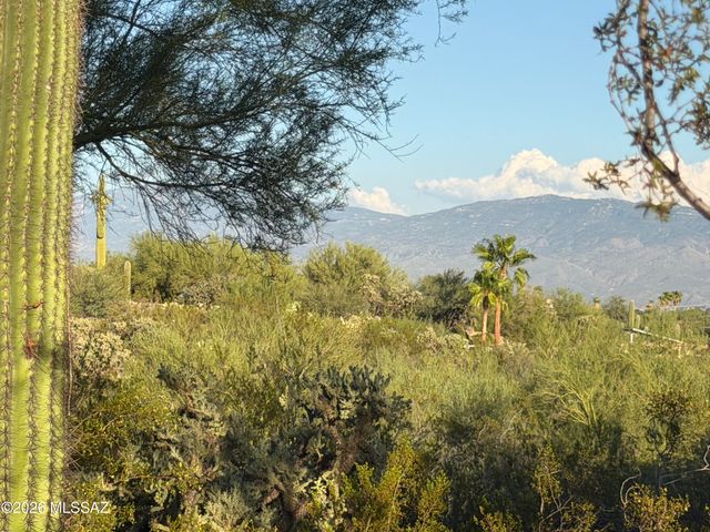 3800 N Tanuri Drive, Tucson, AZ 85750