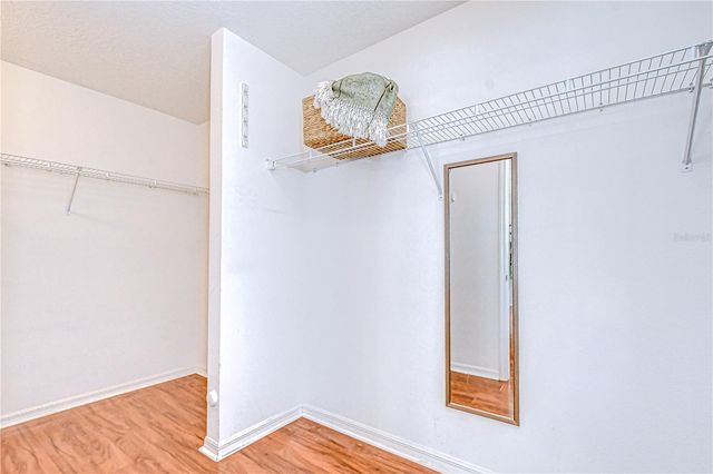 1231 AVONWOOD COURT, Lutz, FL 33559