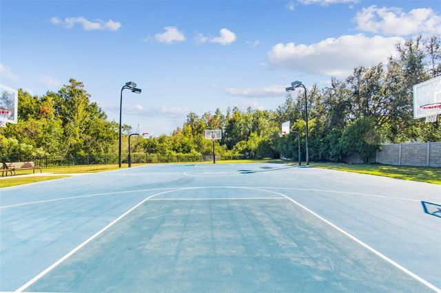 19714 LONESOME PINE DRIVE, Land O Lakes, FL 34638