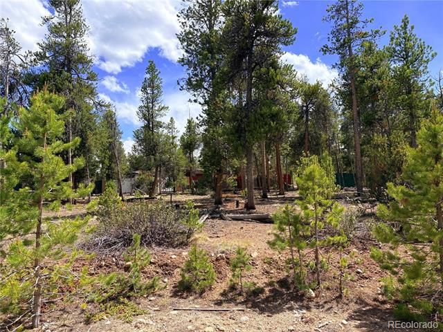 360 Lodgepole Drive, Leadville, CO 80461