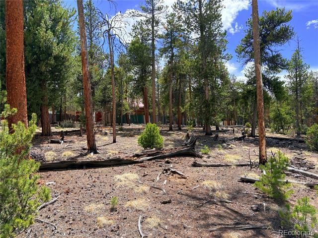 360 Lodgepole Drive, Leadville, CO 80461