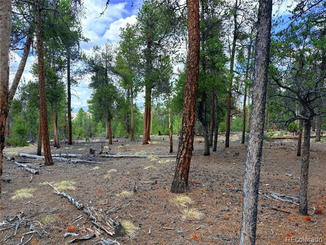 360 Lodgepole Drive, Leadville, CO 80461