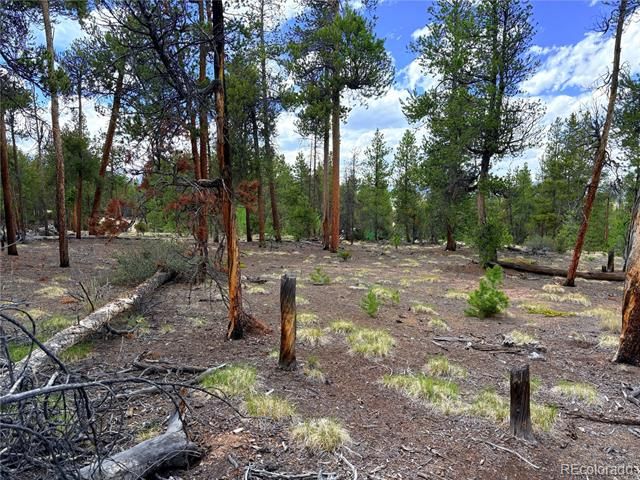 360 Lodgepole Drive, Leadville, CO 80461