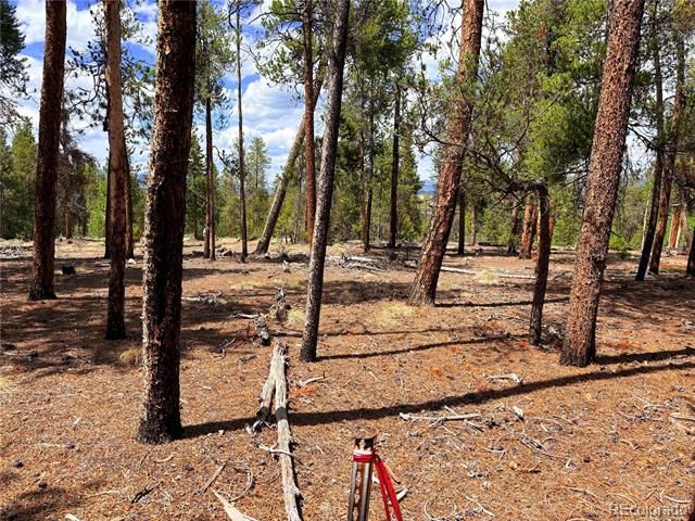 360 Lodgepole Drive, Leadville, CO 80461