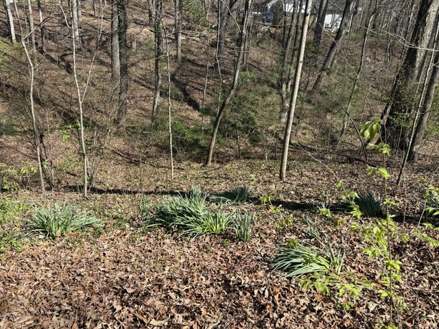 762 Spring Valley Rd, Cookeville, TN 38501