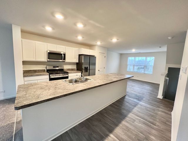 217 Goldenrod Drive, Elgin, IL 60124