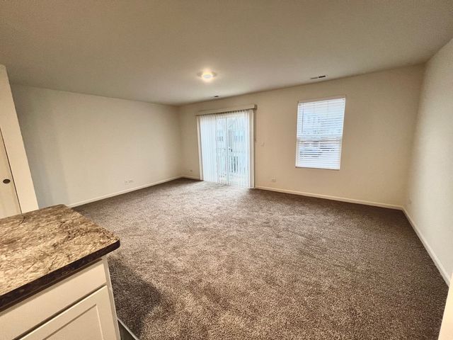 217 Goldenrod Drive, Elgin, IL 60124