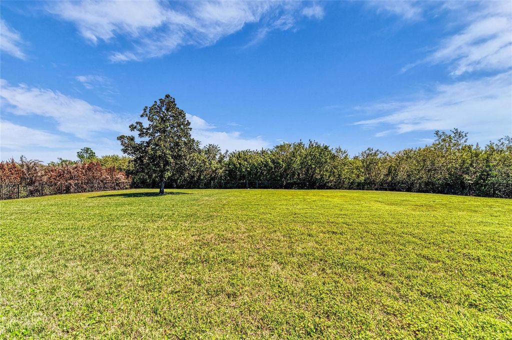 22805 NIGHT HERON WAY