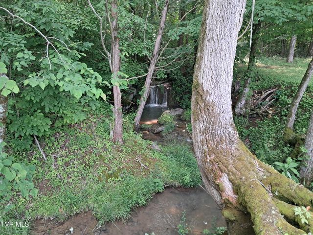 860 Iron Bridge Road, Mosheim, TN 37818