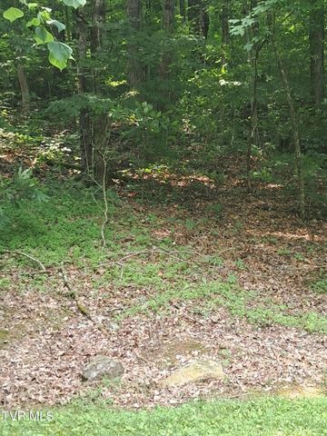 860 Iron Bridge Road, Mosheim, TN 37818