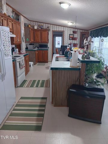 860 Iron Bridge Road, Mosheim, TN 37818