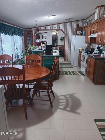 860 Iron Bridge Road, Mosheim, TN 37818