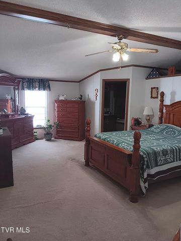 860 Iron Bridge Road, Mosheim, TN 37818
