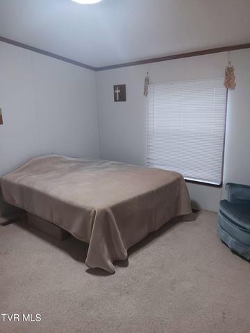 860 Iron Bridge Road, Mosheim, TN 37818