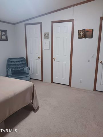 860 Iron Bridge Road, Mosheim, TN 37818