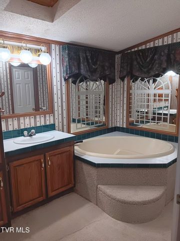 860 Iron Bridge Road, Mosheim, TN 37818