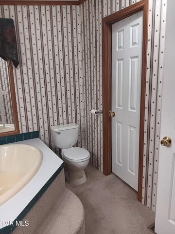 860 Iron Bridge Road, Mosheim, TN 37818