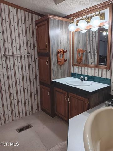 860 Iron Bridge Road, Mosheim, TN 37818