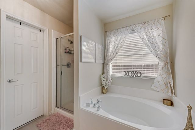 9805 Tanglebrush Drive, Mckinney, TX 75072