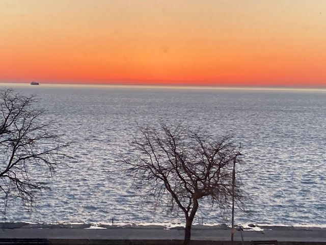 1440 N Lake Shore Drive 5D, Chicago, IL 60610