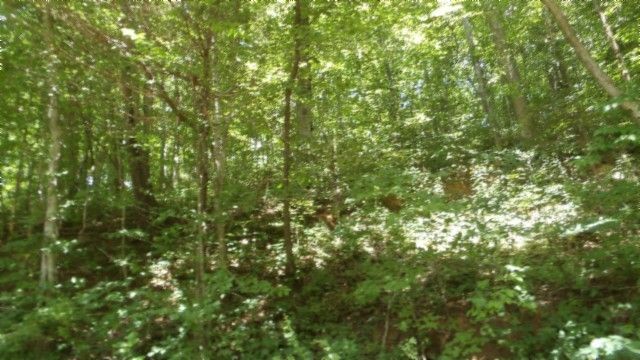 4364 Livingston Hwy, Celina, TN 38551