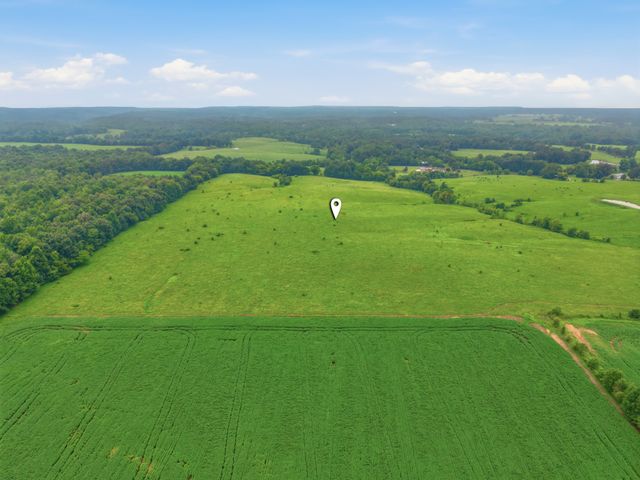 46 Caps rd, Indian Mound, TN 37079