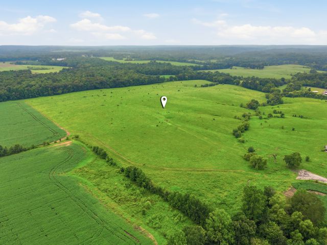 46 Caps rd, Indian Mound, TN 37079