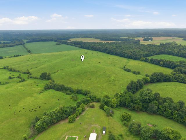 46 Caps rd, Indian Mound, TN 37079