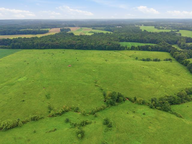 46 Caps rd, Indian Mound, TN 37079