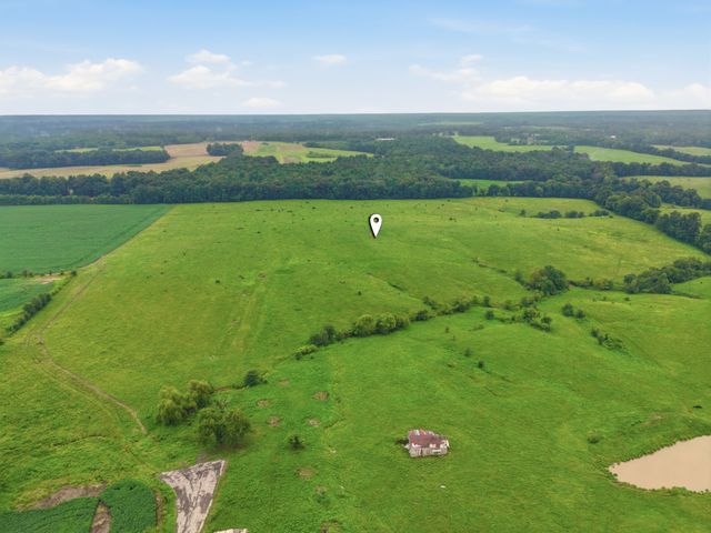46 Caps rd, Indian Mound, TN 37079
