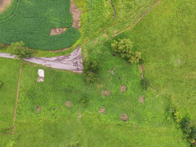 46 Caps rd, Indian Mound, TN 37079