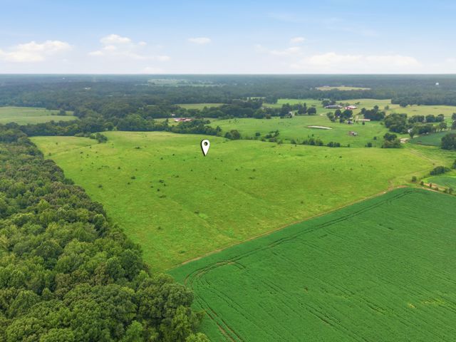 46 Caps rd, Indian Mound, TN 37079