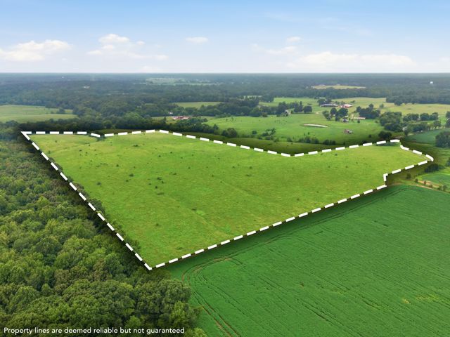 46 Caps rd, Indian Mound, TN 37079